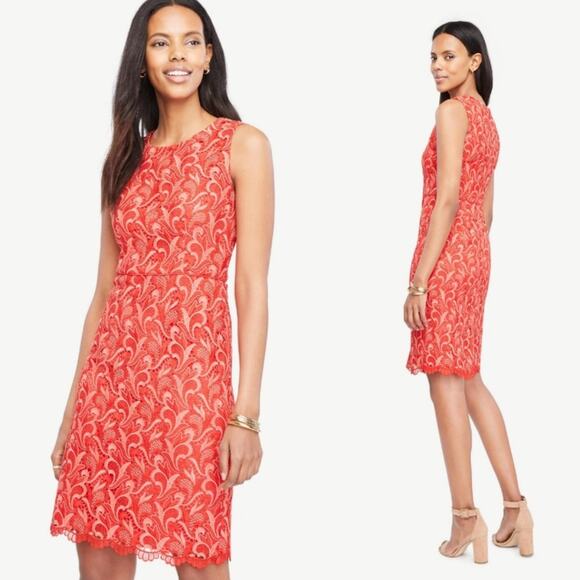 Ann Taylor Dresses & Skirts - Ann Taylor Two Tone Lace Overlay Dress Peony Coral
